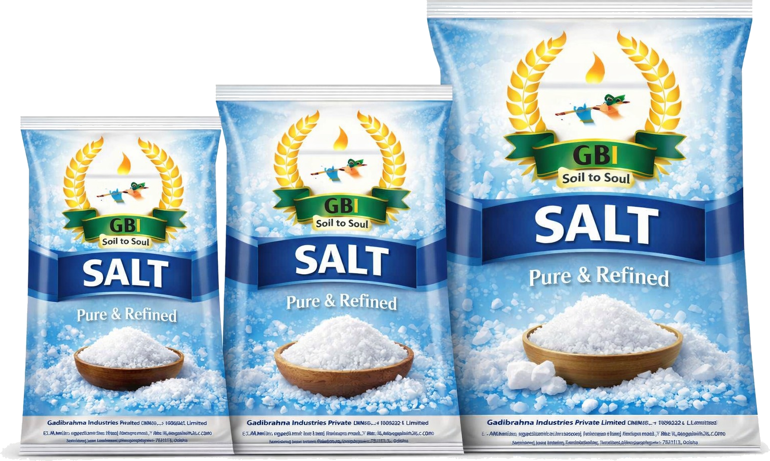 GBI Salt